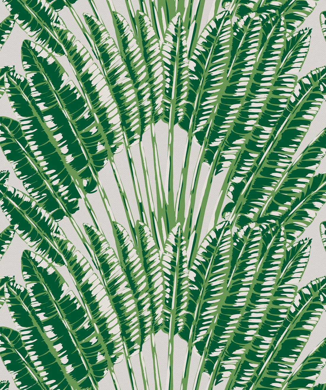 Feather Palm Wallpaper