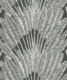 Feather Palm Wallpaper