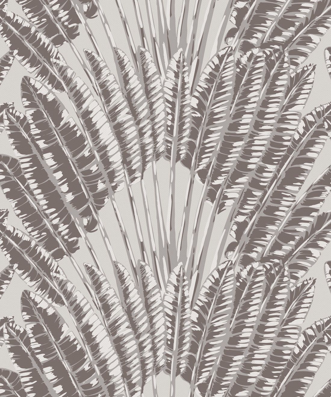 Feather Palm Wallpaper