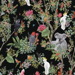 Australia Wallpaper • Cockatoos, Koalas, Parrots, Finches • Milton & King Australia • Black Wallpaper Swatch