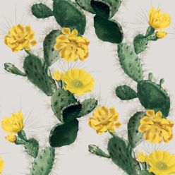 Wallpaper-KH-Cactus-Yellowday-1-2