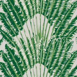 Feather Palm Aloha Wallpaper