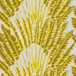 Wallpaper-KH-FeatherPalm-Golden-Palm-1-2