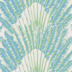 Feather Palm Seabreeze