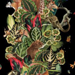 Viva Tropicana, Tropical Wallpaper Black