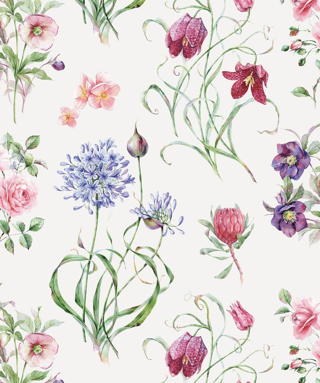 Botanical Wallpaper