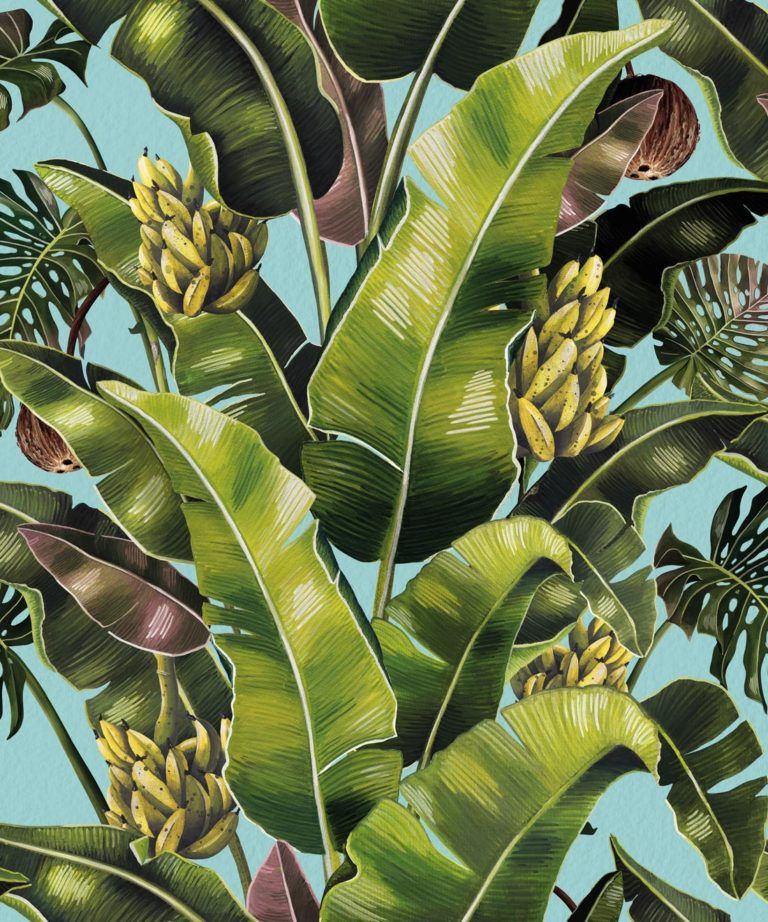 Kingdom Palm Sky • Tropical Leaf Wallpaper • Milton & King