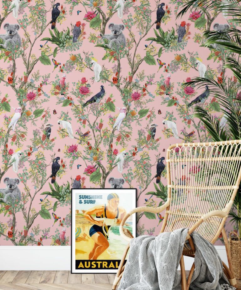 Australia Wallpaper • Cockatoos, Koalas, Parrots, Finches • Milton & King USA • Coral Wallpaper Insitu