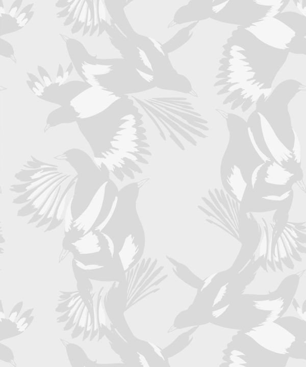 Magpie Wallpaper • Milton & King • Kingdom Home • Bird Wallpaper • Bondi Swatch