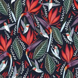 Hummingbird Wallpaper • Birds Of Paradise Flower • Bird Wallpaper • Red Flowers • Black Cherry