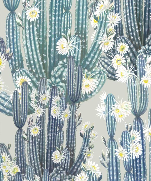 San Pedro Wallpaper Blue • Cactus Wallpaper • Succulents Wallpaper • Desert Wallpaper Swatch