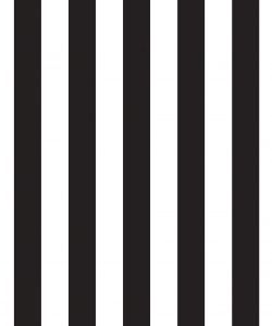 Black & White Stripe