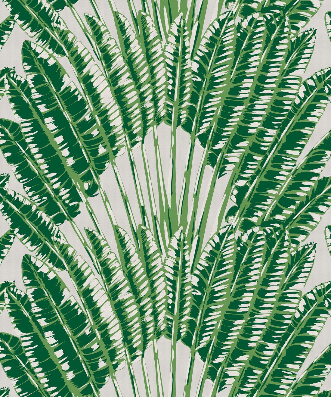 Feather Palm Aloha