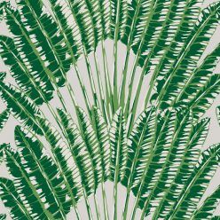 Feather Palm Aloha