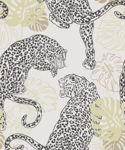 Leopard Jungle