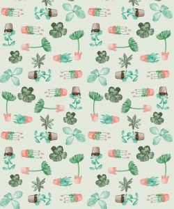 Succulents Wallpaper