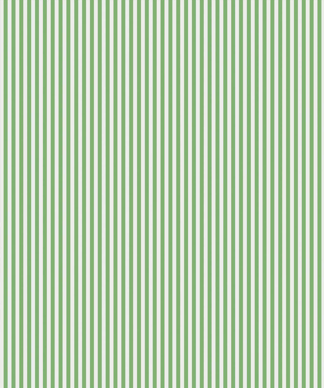 Candy Stripe Green