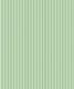 Candy Stripe Green