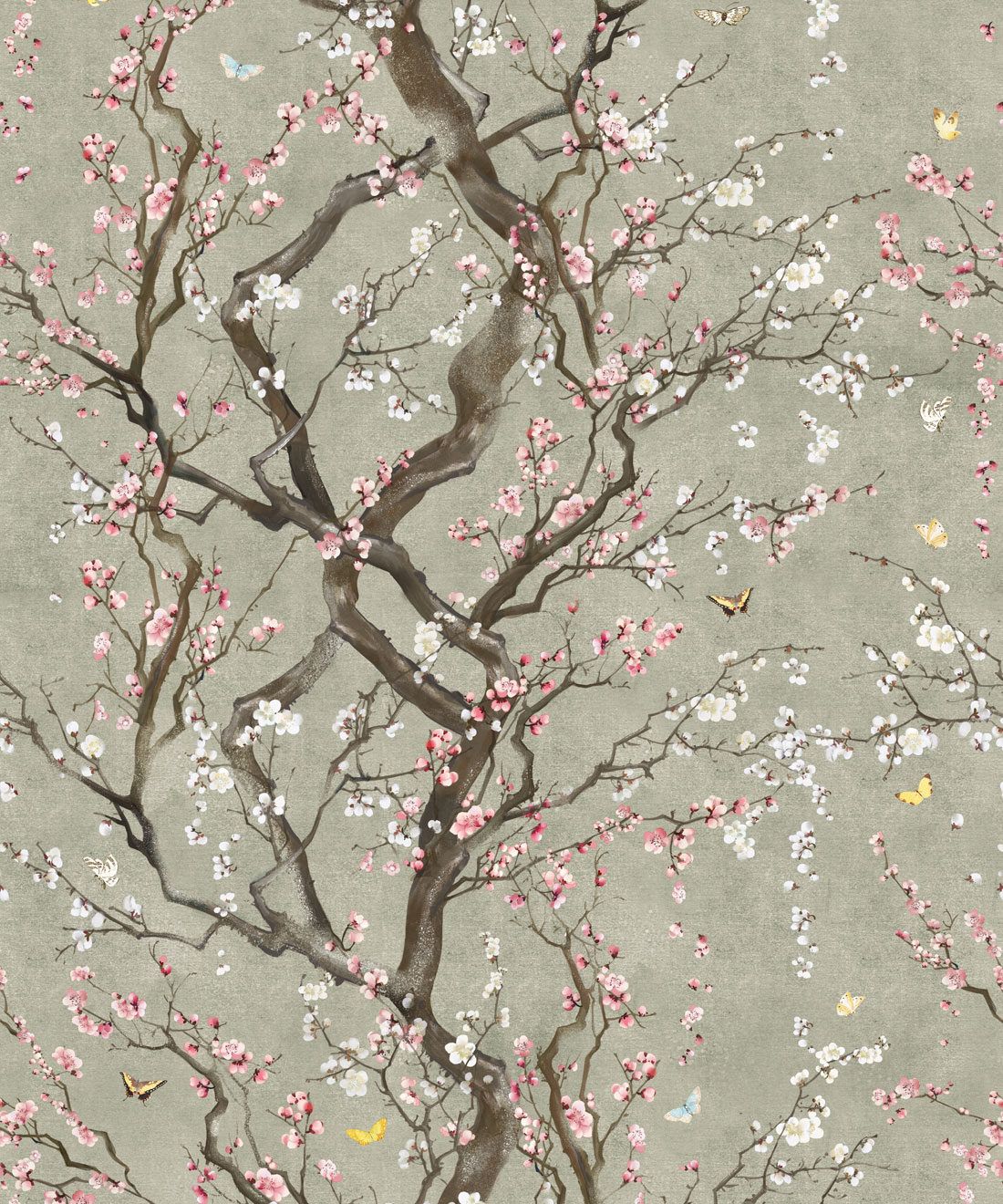 Plum Blossom