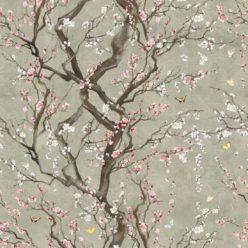 Plum Blossom