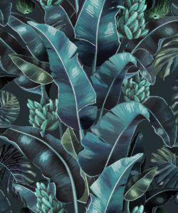 Kingdom Palm Noche • Tropical Leaf Wallpaper • Milton & King