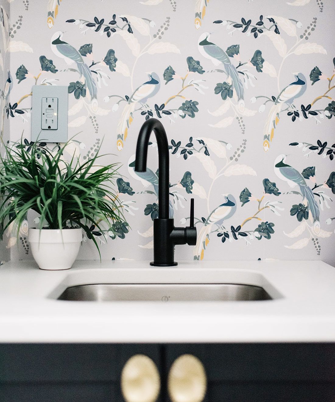 Birds of Paradise Wallpaper • Milton & King