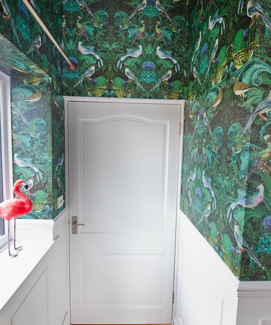 Birdlife Wallpaper • Milton & King