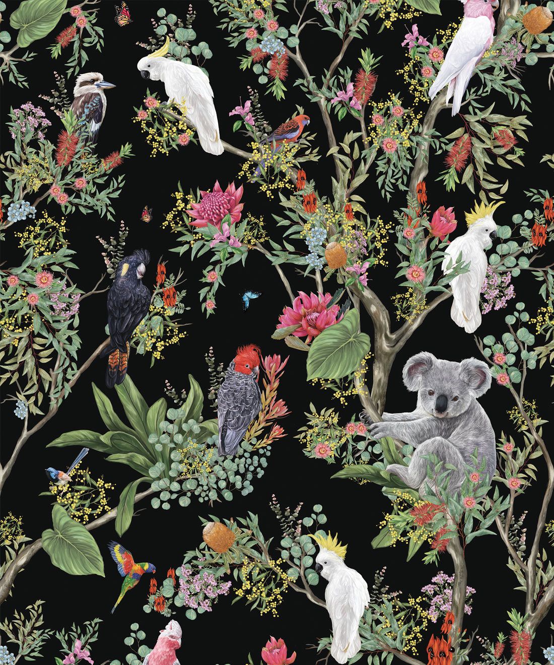 Australia Wallpaper • Cockatoos, Koalas, Parrots, Finches • Milton & King USA • Black Wallpaper Swatch