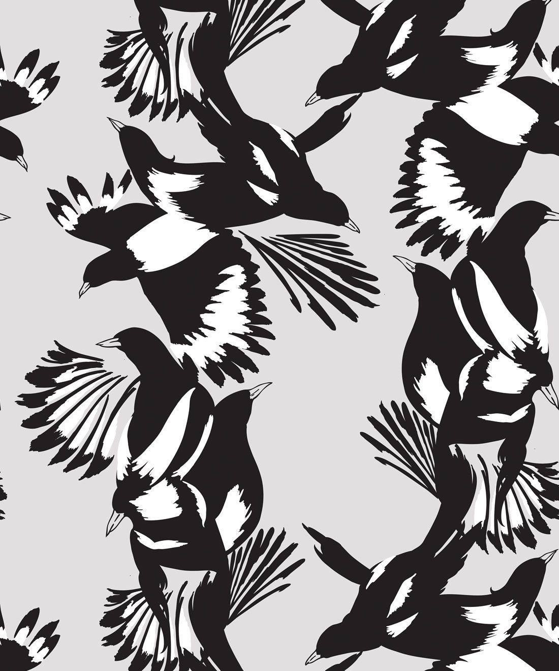 Magpie Wallpaper • Milton & King USA • Black & White Wallpaper Swatch