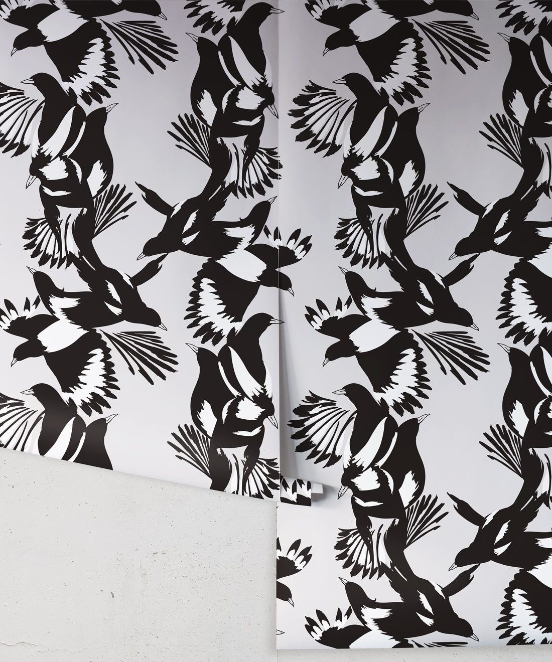 Magpie Wallpaper • Milton & King USA • Black & White Wallpaper Roll