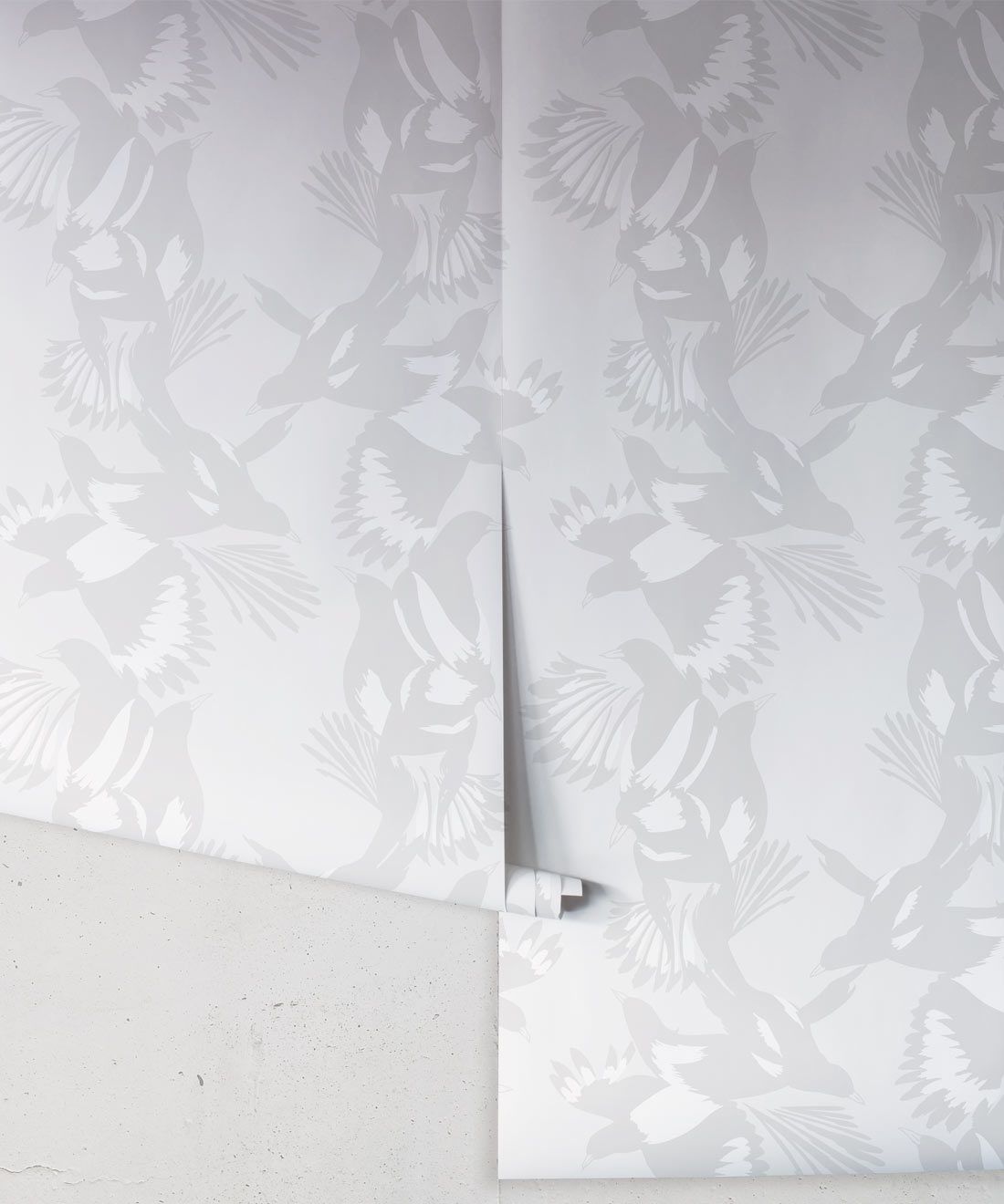 Magpie Wallpaper • Milton & King USA • Bondi Grey Wallpaper Roll