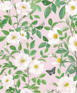 Rosa Wallpaper • Floral Wallpaper • Blush •Swatch