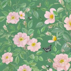 Rosa Wallpaper • Floral Wallpaper •Forest Green •Swatch