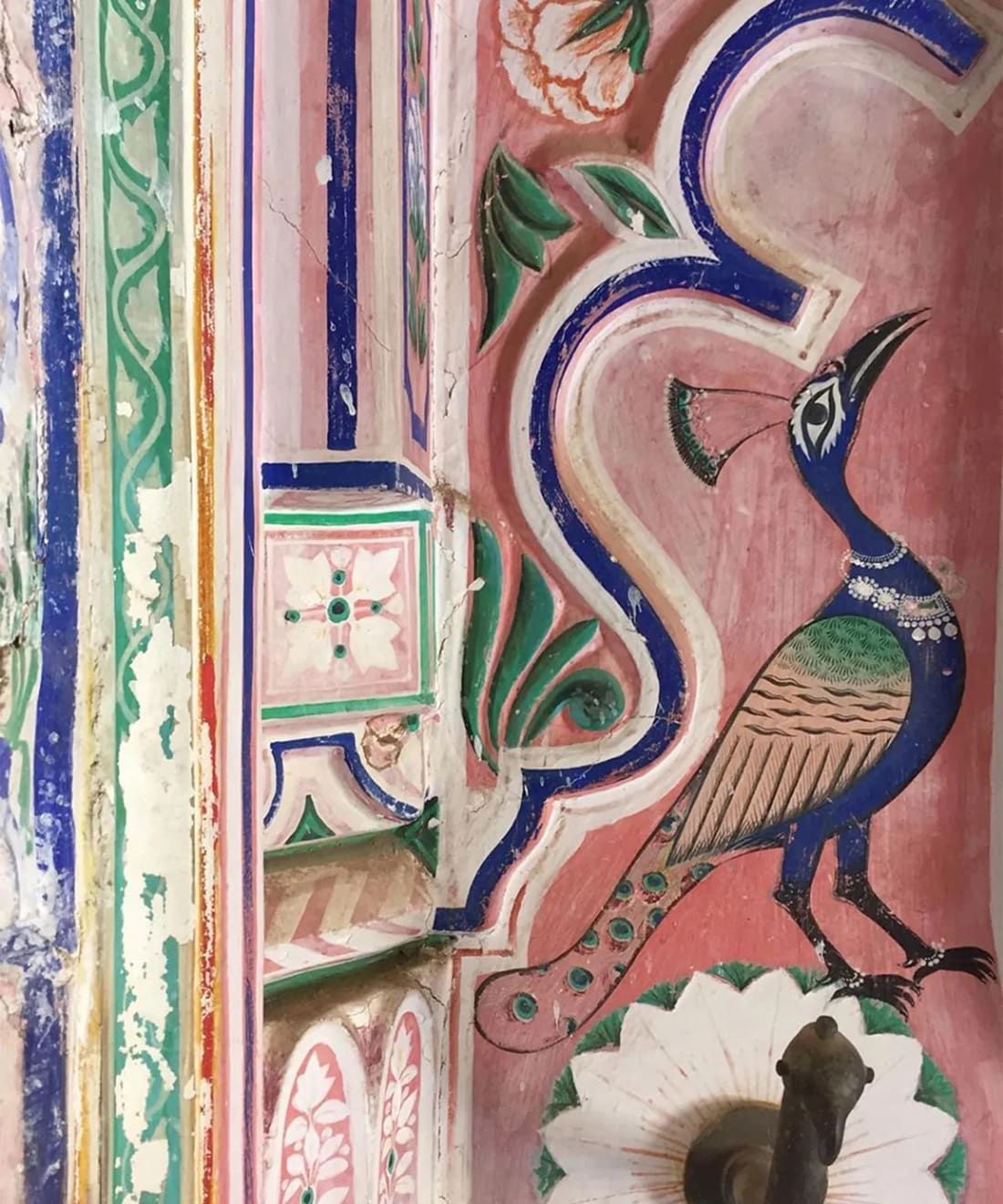 A Painted Peacock at the Juna Mahal Palace, Rajasthan